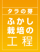 ӂ͔|̍H